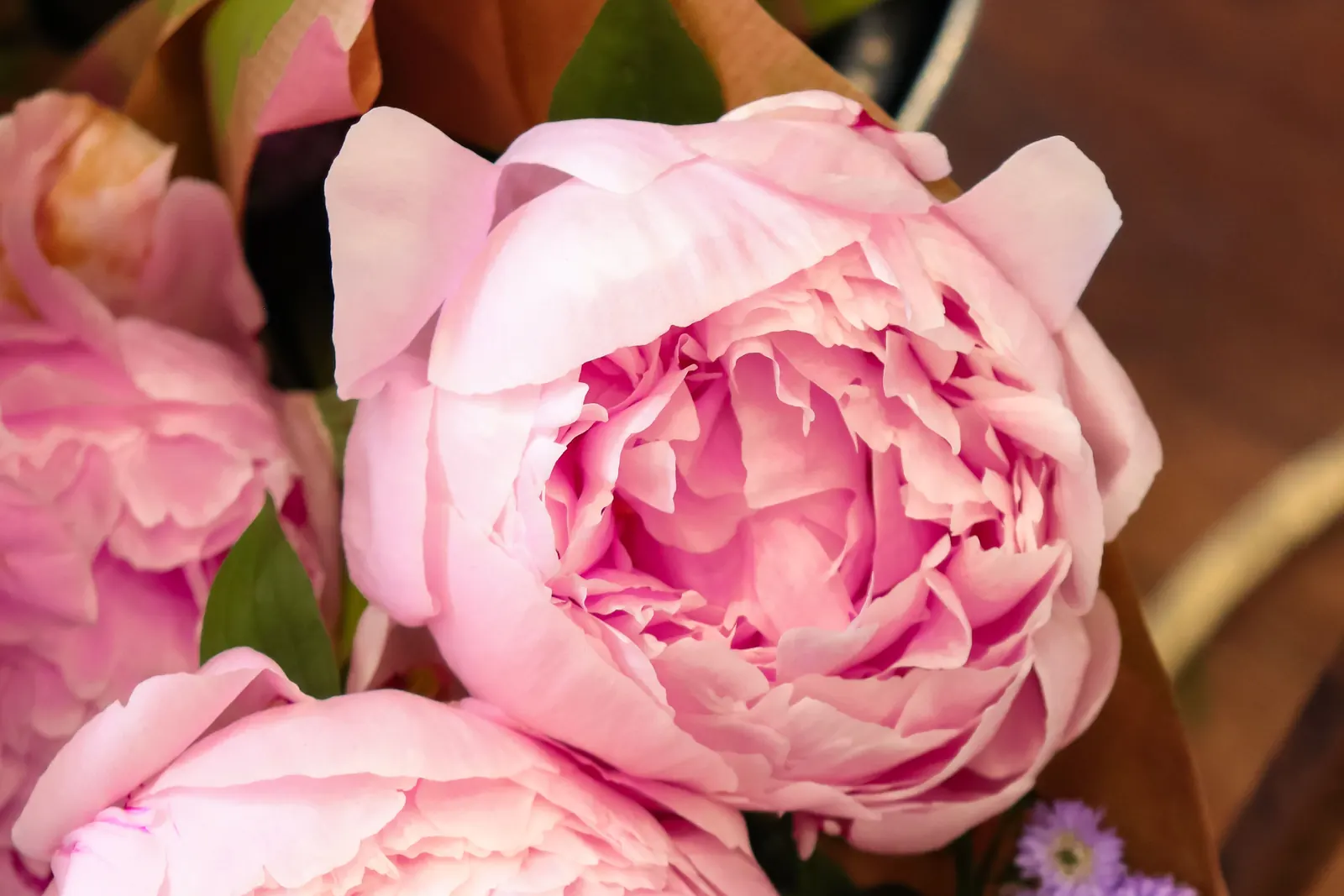Roze pioenen met een paar paarse asters, in kraftpapier op een houten tafel