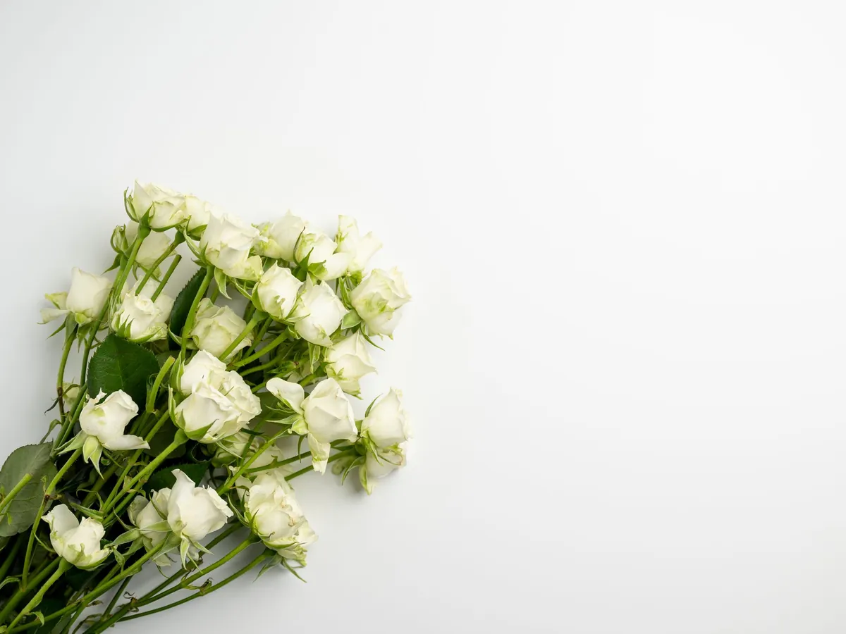 Losse witte bloemen
