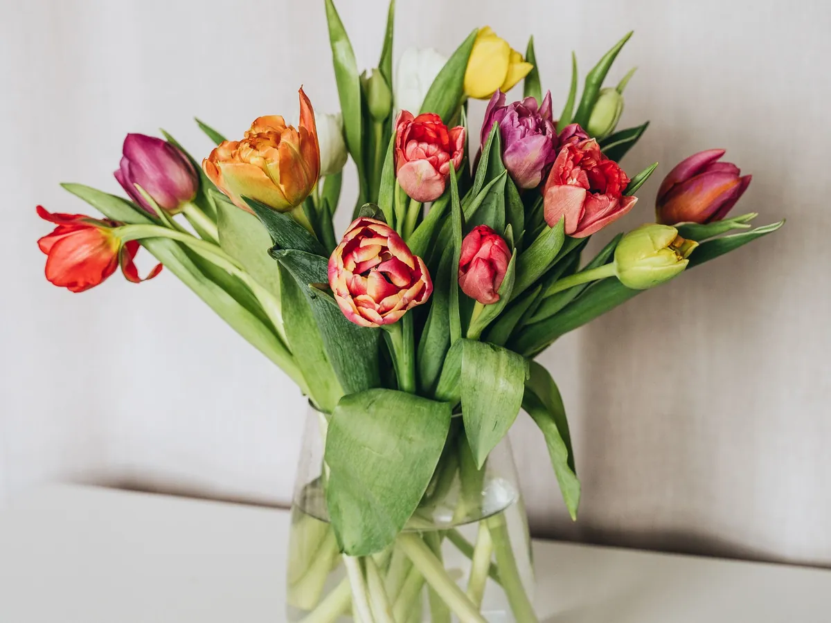 Een bos tulpen